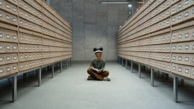 study numbers search results summary