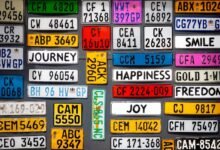 trace numbers and registry references identified